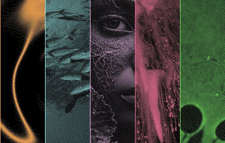 Affiches BiomimExpo, promotion NID